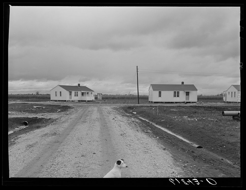 Group labor homes. Morehouse group. New Madrid County, Missouri.. Sourced from the Library of Congress.