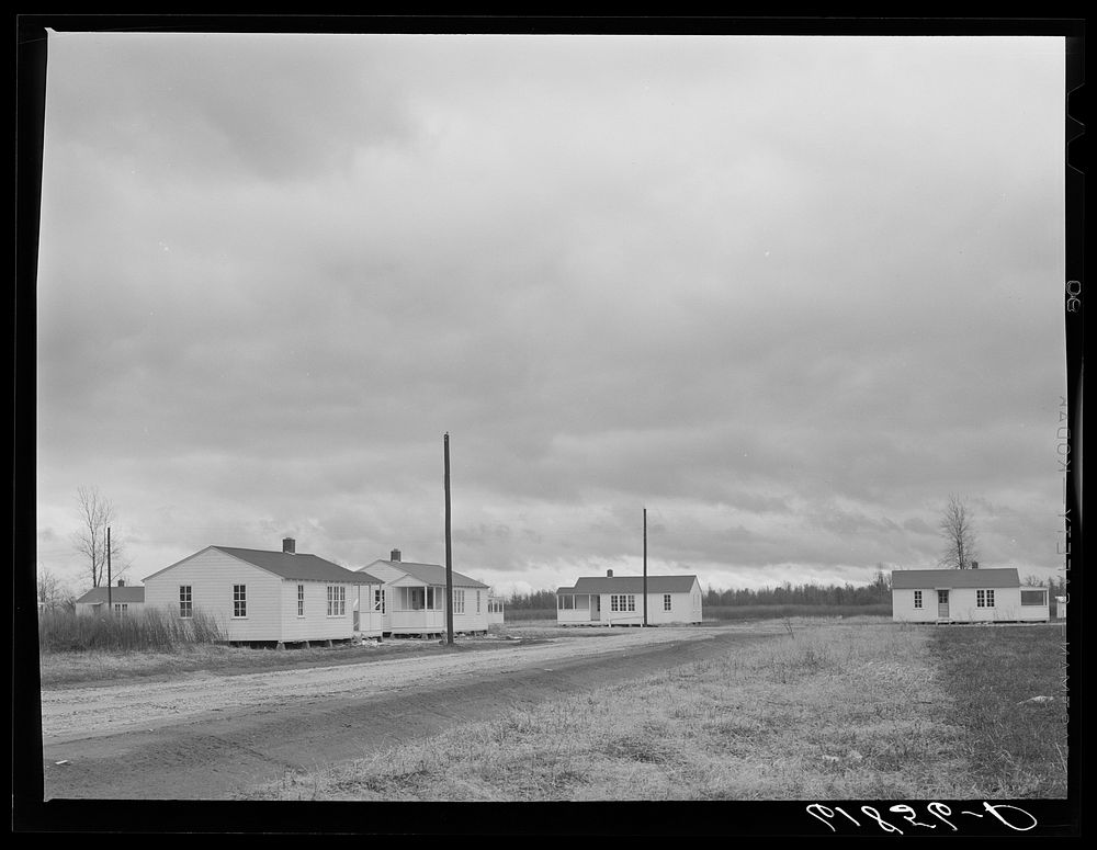Morehouse group of labor homes. New Madrid County, Missouri.. Sourced from the Library of Congress.