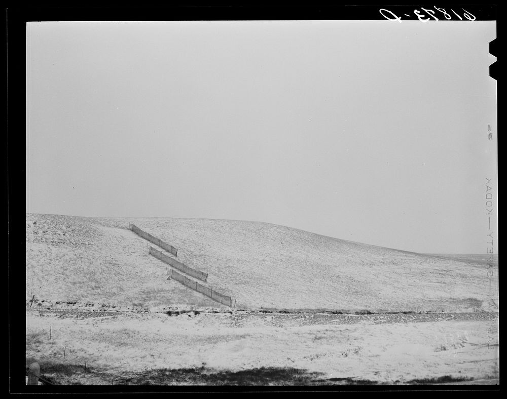 Snow fences. Lyman County, South Dakota. Sourced from the Library of Congress.