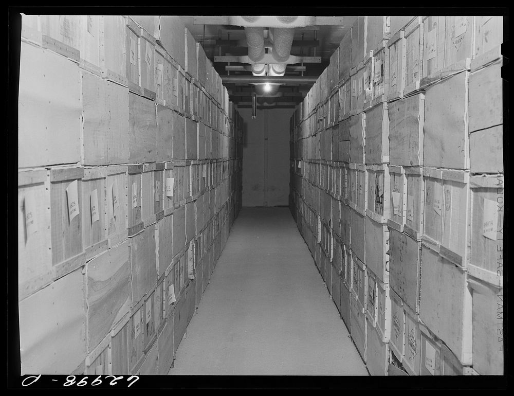 Eggs in storage at Fulton Market cold storage plant. Chicago, Illinois. Sourced from the Library of Congress.