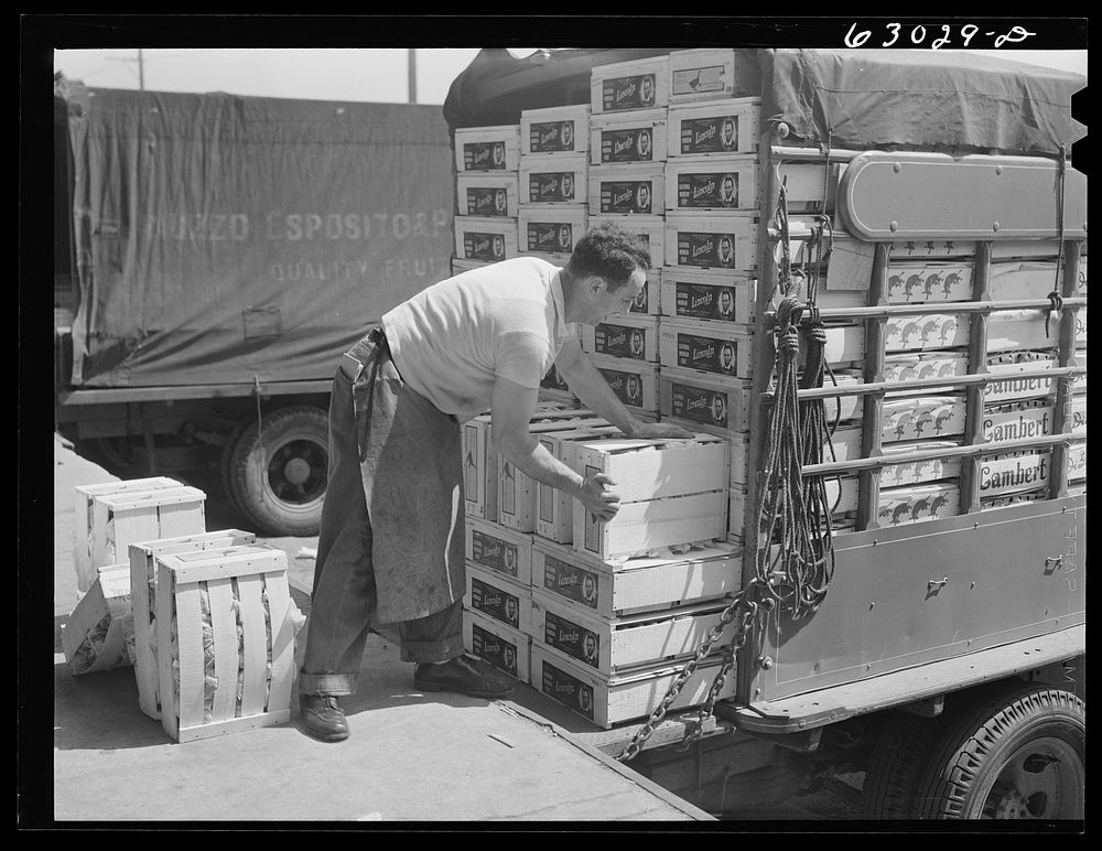 [Untitled photo, possibly related to: Loading crates of fruit onto truck at fruit terminal. Chicago, Illinois]. Sourced from…