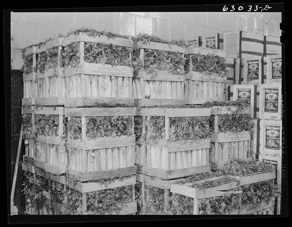 Celery at produce market. Chicago, Illinois. Sourced from the Library of Congress.