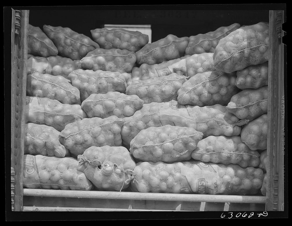 Carload of onions at railroad terminal. Chicago, Illinois. Sourced from the Library of Congress.