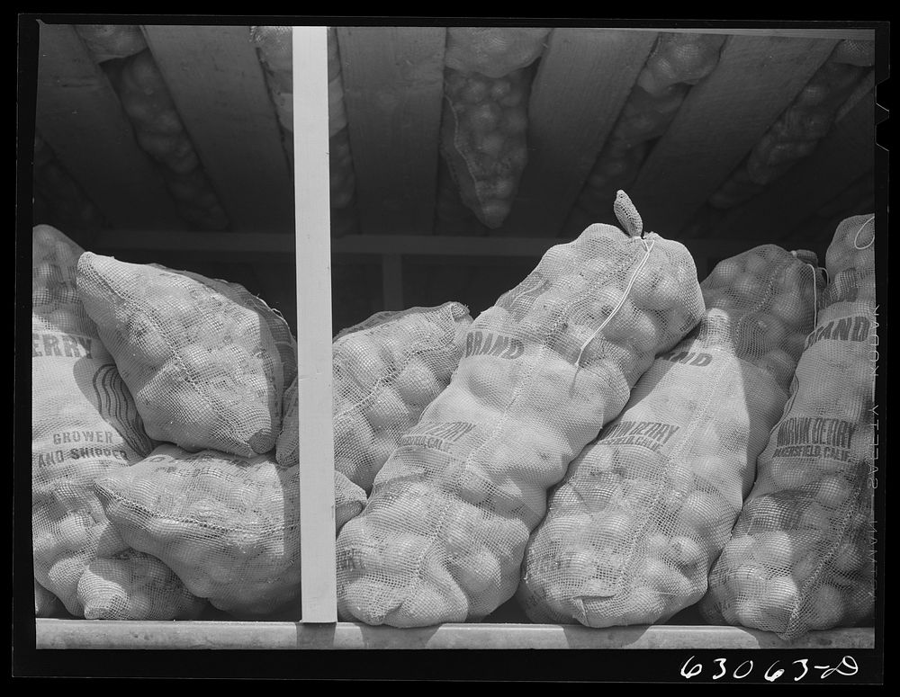 [Untitled photo, possibly related to: Carload of onions at railroad terminal. Chicago, Illinois]. Sourced from the Library…