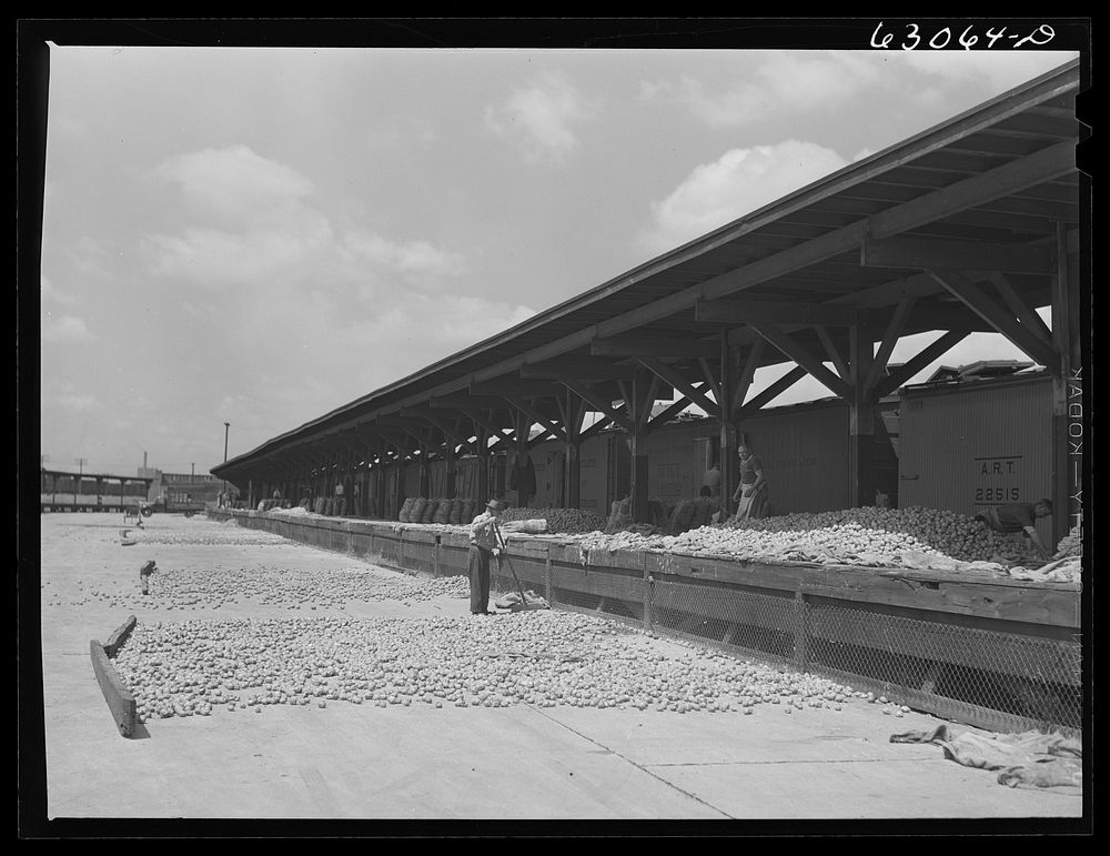 Sweeping up potatoes after the sales. Railroad terminal, Chicago, Illinois. Sourced from the Library of Congress.