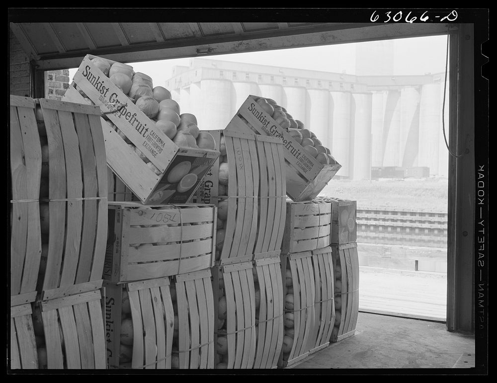 [Untitled photo, possibly related to: Commission merchants truck loaded at fruit terminal warehouse. Chicago, Illinois].…