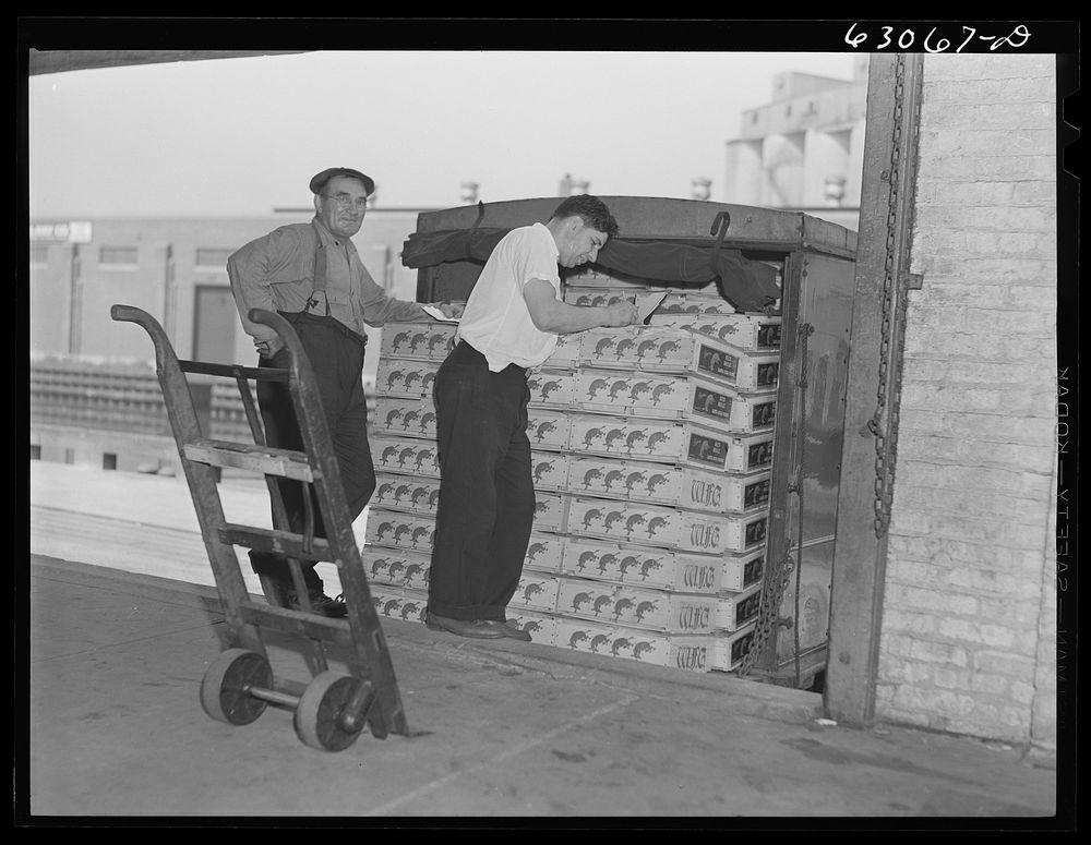 Crates of fruits loaded onto truck at fruit terminal. Chicago, Illinois. Sourced from the Library of Congress.