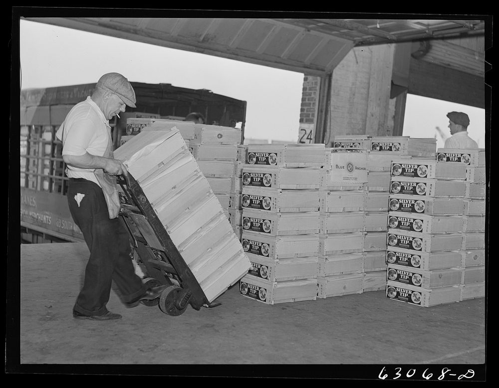 Loading crates of fruit onto commission merchants' trucks. Fruit terminal, Chicago, Illinois. Sourced from the Library of…