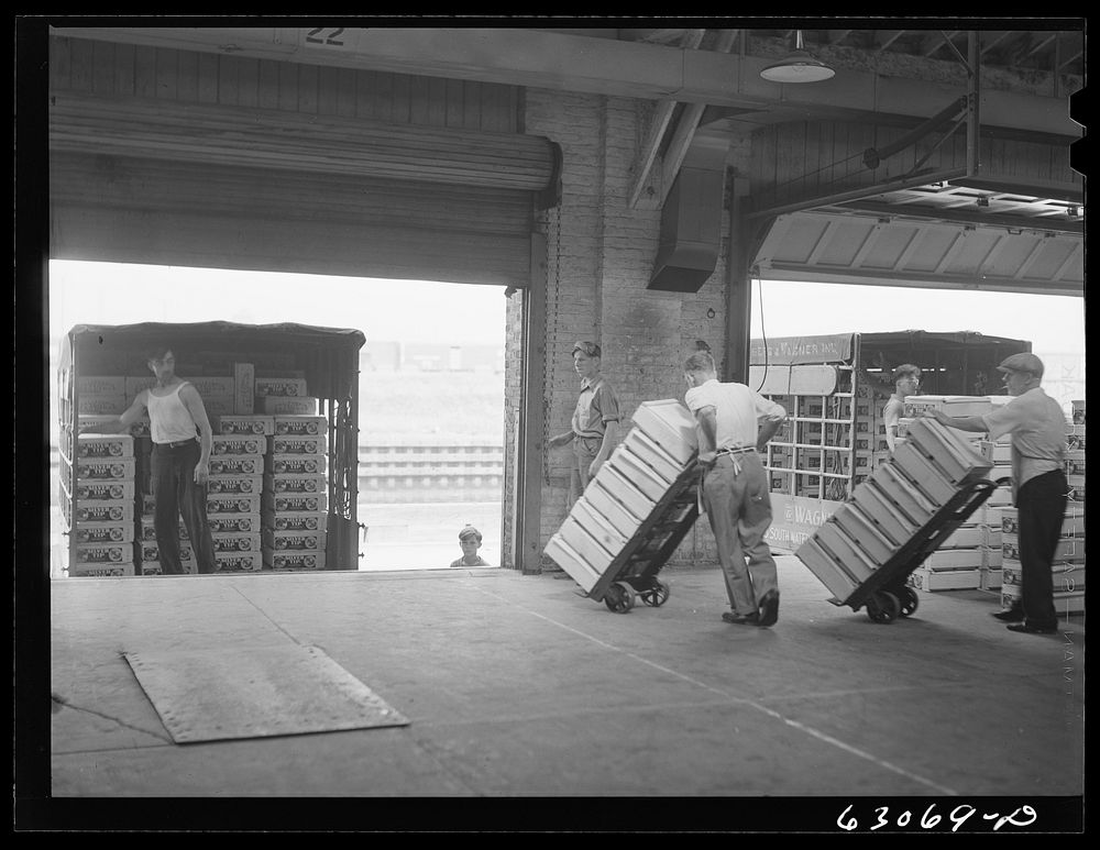 Loading crates of fruit onto commission merchants' trucks. Fruit terminal, Chicago, Illinois. Sourced from the Library of…