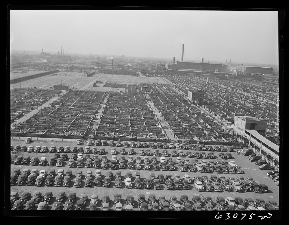 Union Stockyards, Chicago, Illinois. Employees' parking lot in the foreground. Sourced from the Library of Congress.