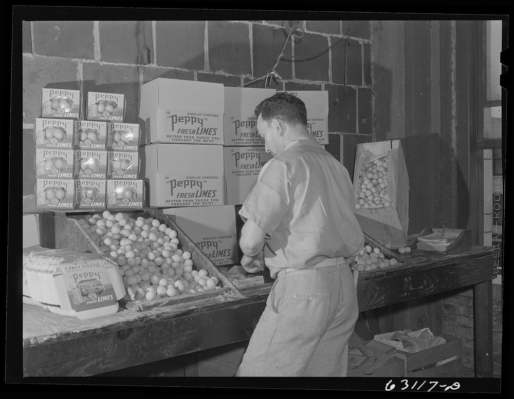 Packing limes at produce market. Chicago, Illinois. Sourced from the Library of Congress.