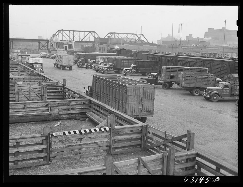 [Untitled photo, possibly related to: Trucks at Union Stockyards. Chicago, Illinois]. Sourced from the Library of Congress.