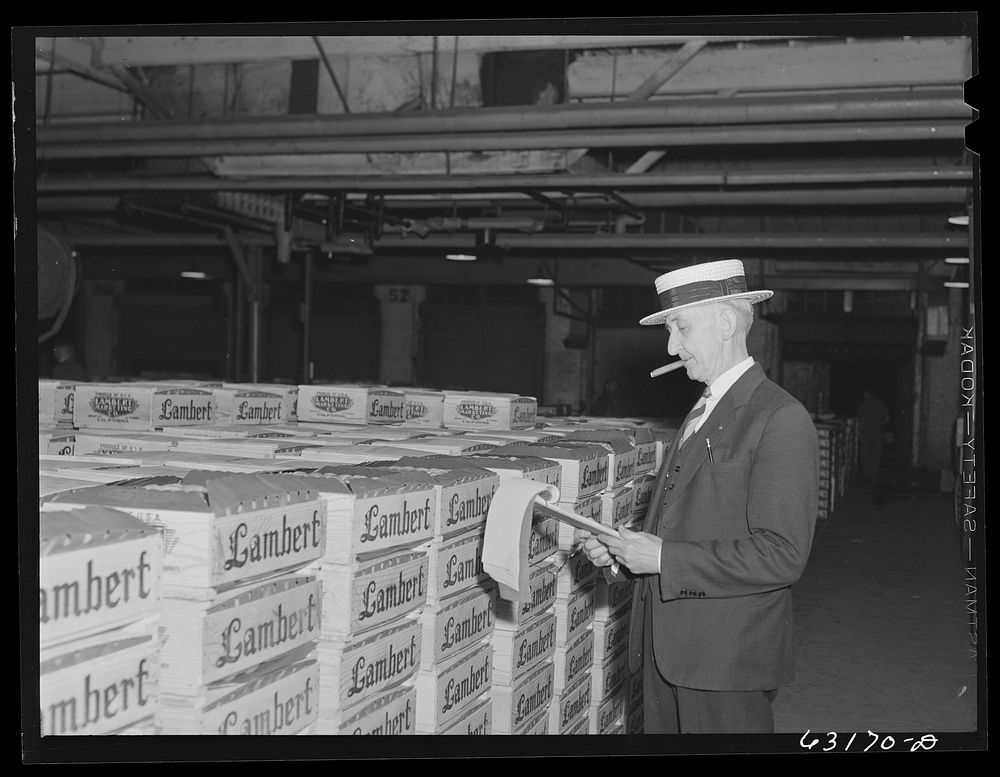 Commission merchant examining produce at fruit terminal warehouse before auction begins. Chicago, Illinois. Sourced from the…