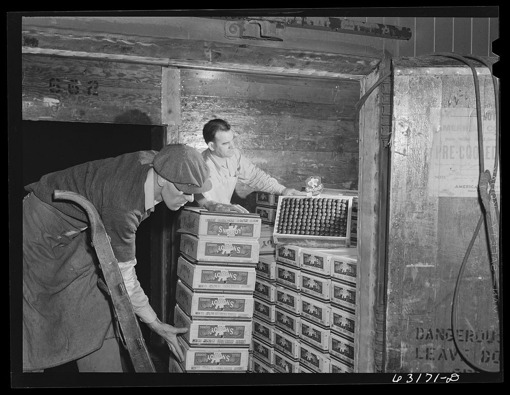 Unloading car of fruit at terminal warehouse in Chicago, Illinois. Sourced from the Library of Congress.