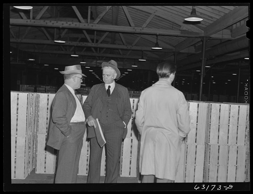 Commission merchants at fruit terminal warehouse before early morning auction. Chicago, Illinois. Sourced from the Library…