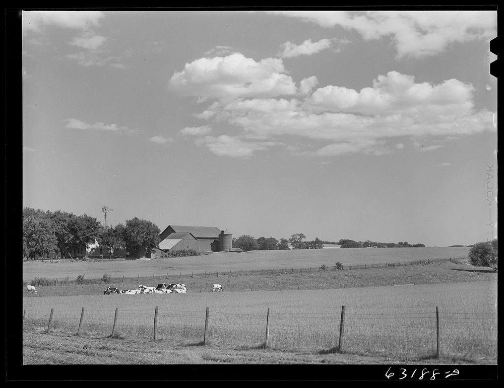 Dairy farm. Dodge County, Wisconsin. Sourced from the Library of Congress.