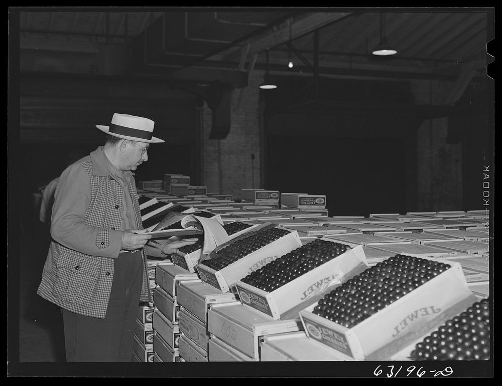 Commission merchant examining fruit at terminal warehouse. Chicago, Illinois. Sourced from the Library of Congress.