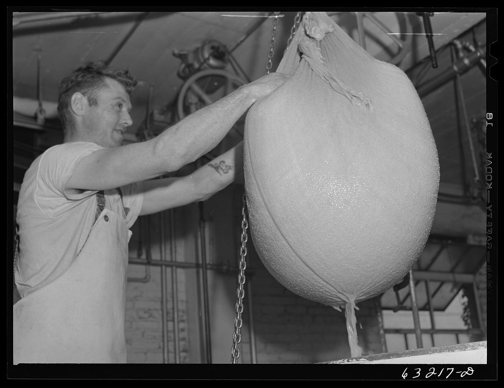 [Untitled photo, possibly related to: Lowering the curd into form in which it will be pressed into a cheese. Swiss cheese…