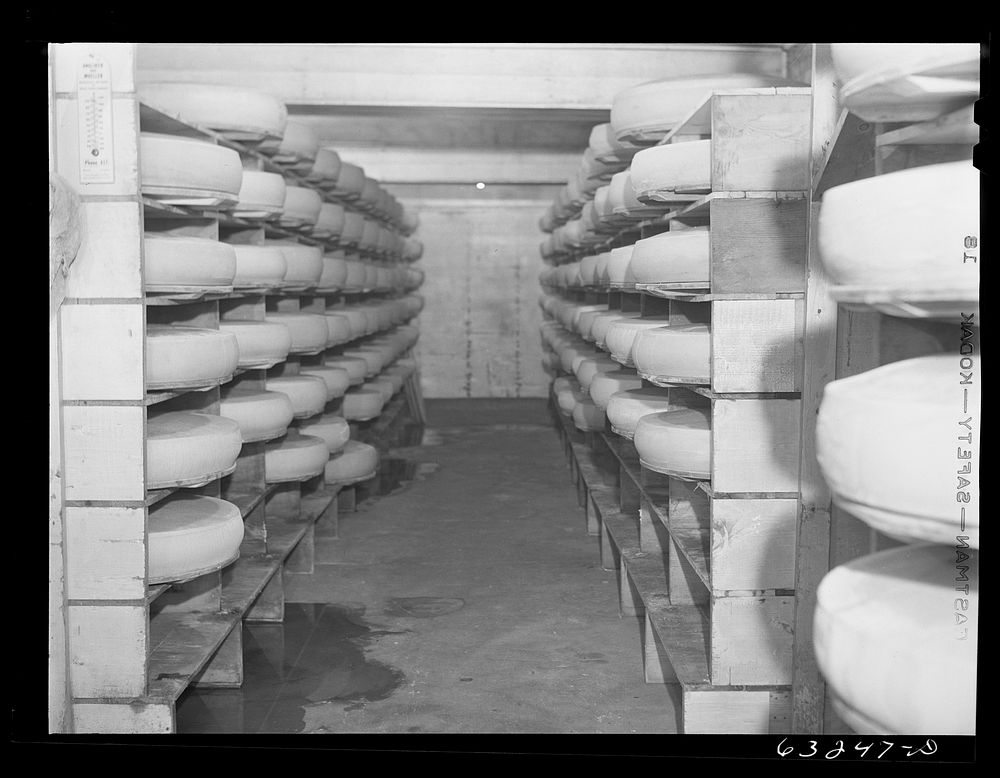 [Untitled photo, possibly related to: Cheese in storage. Swiss cheese factory. Madison, Wisconsin]. Sourced from the Library…
