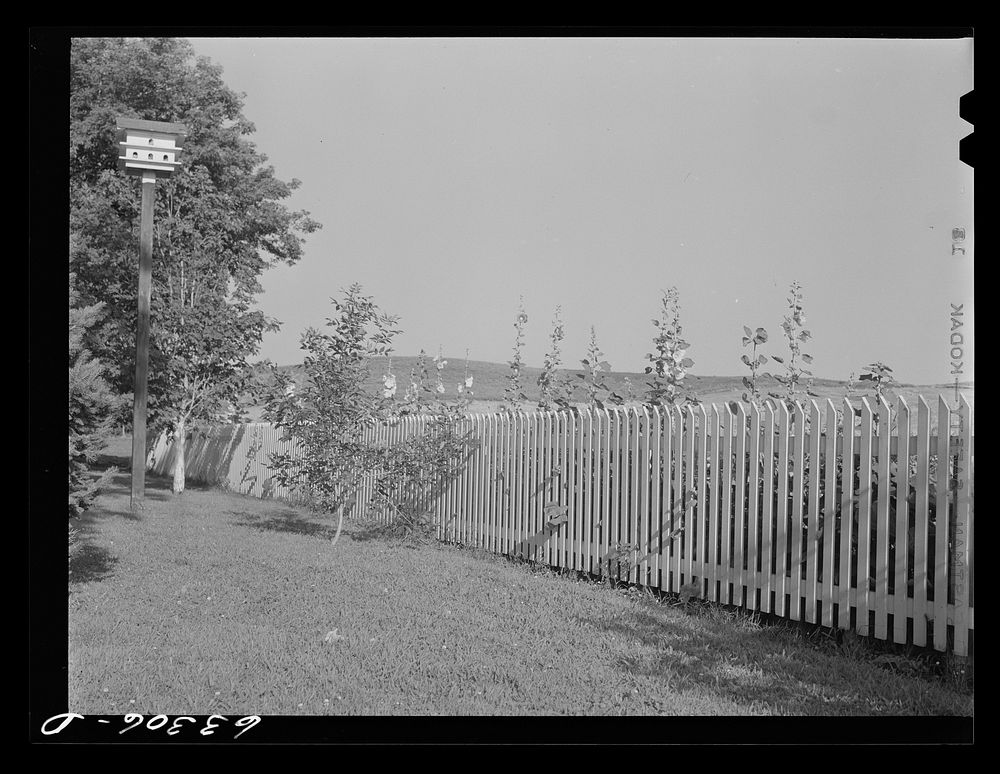 Picket fence near Faribault, Minnesota. Sourced from the Library of Congress.