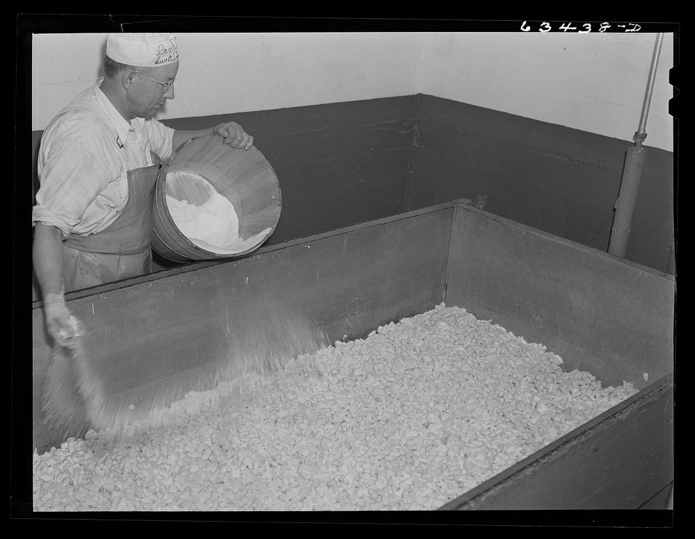 Salting the curd in making American cheese. Antigo, Wisconsin. Sourced from the Library of Congress.