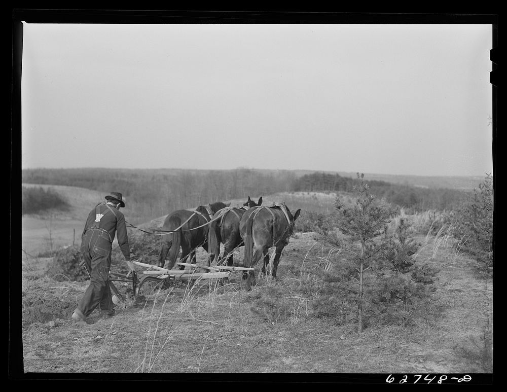 [Untitled photo, possibly related to: Farmer plowing cut-over land. Roanoke County, Virginia]. Sourced from the Library of…