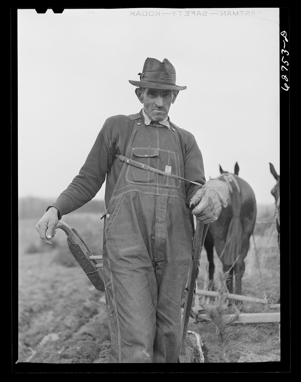 Farmer near Roanoke, Virginia. Sourced from the Library of Congress.