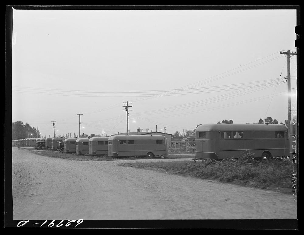[Untitled photo, possibly related to: Each group of ten trailers in the FSA (Farm Security Administration) camp at Erie has…