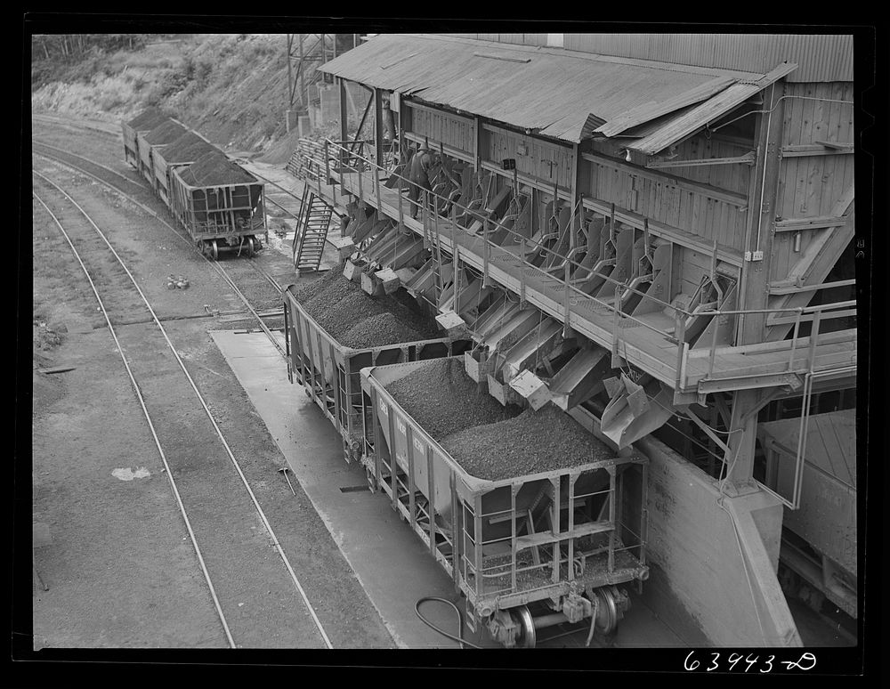 [Untitled photo, possibly related to: Washed ore being loaded into seventy ton cars for shipment to Duluth-Superior ore…