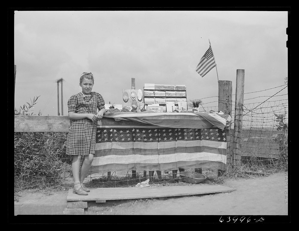 Girl who sells pieces of ore and iron range souvenirs to tourists. Hibbing, Minnesota. Sourced from the Library of Congress.