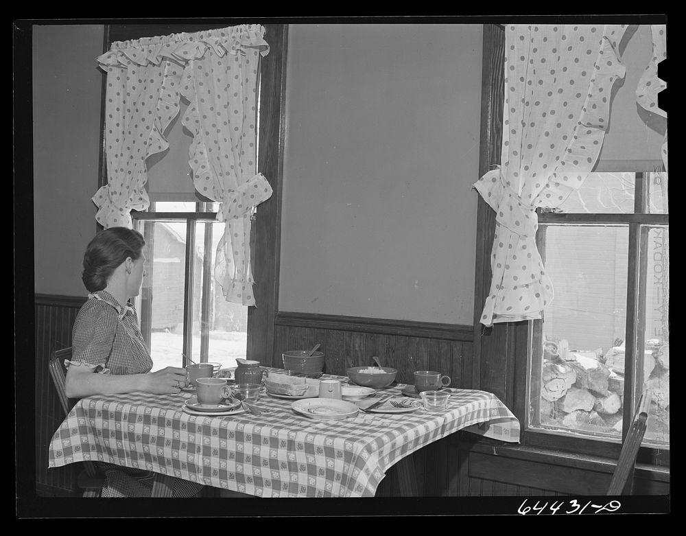 Meeker County, Minnesota. Mrs. Mike McRaith after lunch. Her husband has gone out to the machine shed to do some repair…