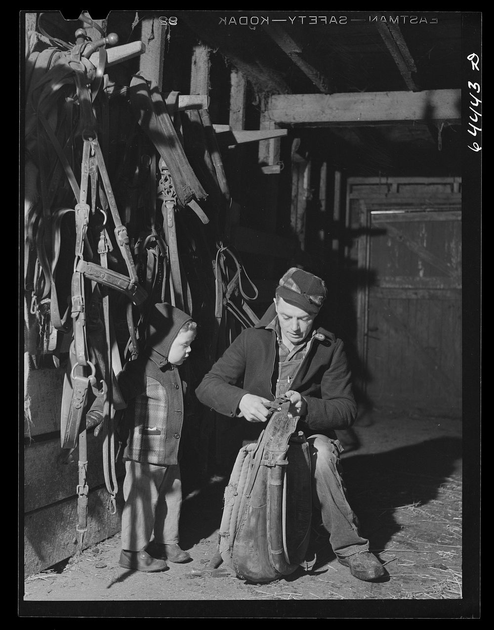 Meeker County, Minnesota. Mike McRaith repairing harness; his son Jerry is watching. He farms eighty acres in Meeker County…