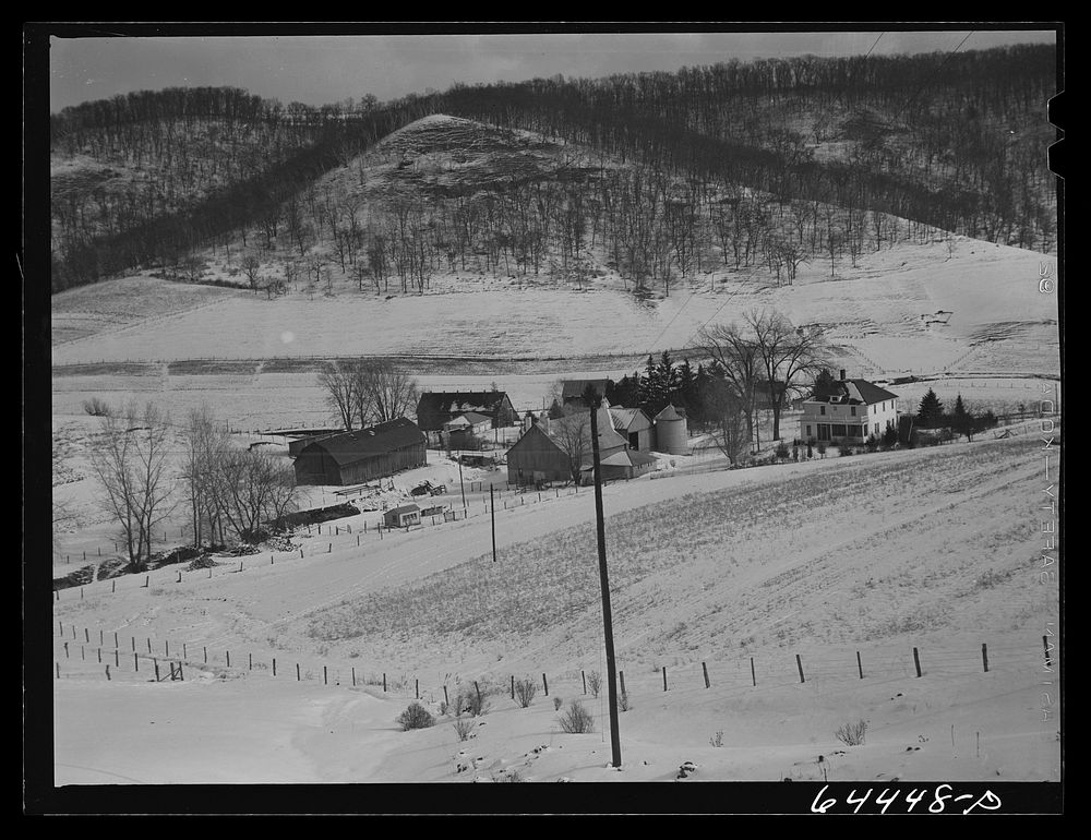 Viroqua, Wisconsin (vicinity). Dairy farm.. Sourced from the Library of Congress.