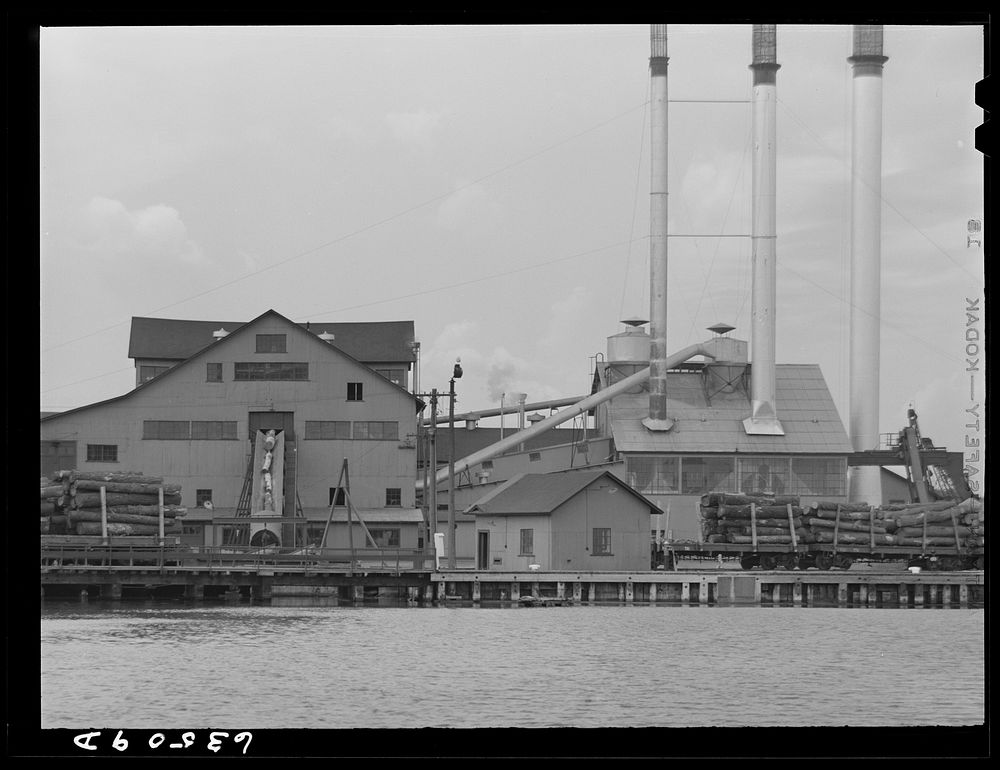 Lumber mill belonging to Henry Ford. L'Anse, Michigan. Sourced from the Library of Congress.