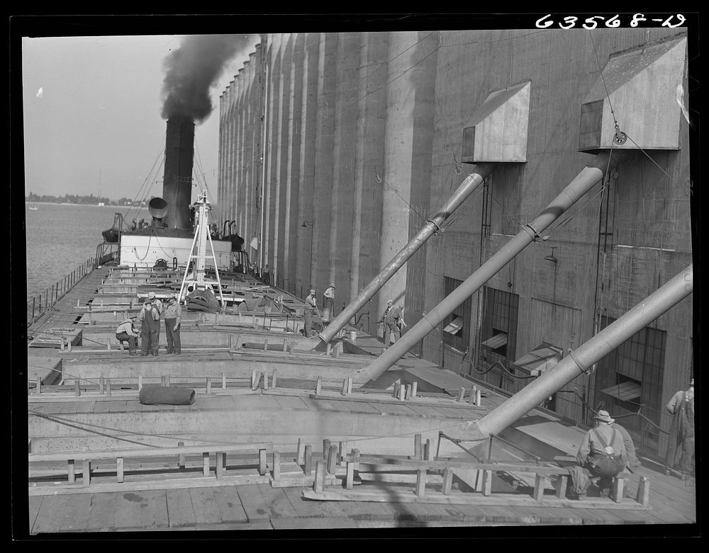 Loading the James Watt with wheat. Elevator "E". Duluth, Minnesota. Sourced from the Library of Congress.