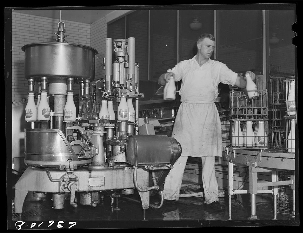 Bottling milk. Duluth Milk Company. Duluth, Minnesota. Sourced from the Library of Congress.