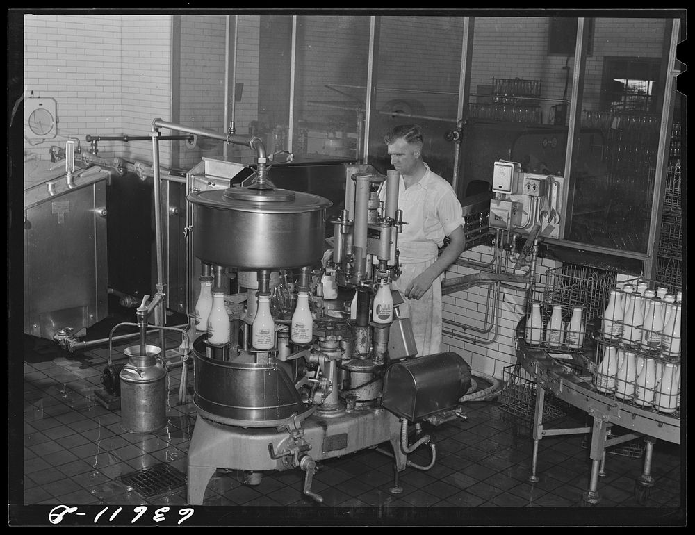 Bottling milk. Duluth Milk Company. Duluth, Minnesota. Sourced from the Library of Congress.