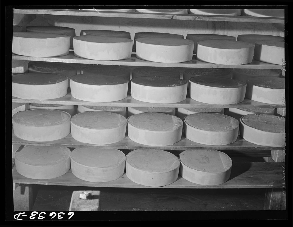 American cheeses in factory at Antigo, Wisconsin. Sourced from the Library of Congress.