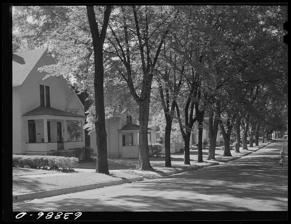 Residential street. Elgin, Illinois. Sourced from the Library of Congress.