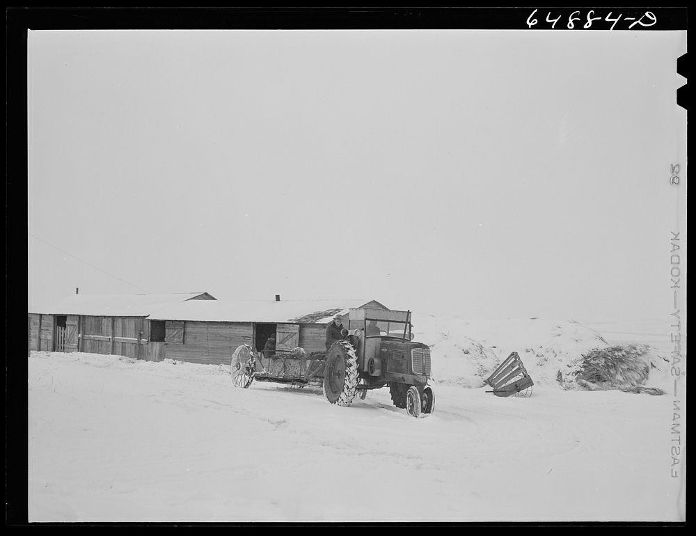 [Untitled photo, possibly related to: Adams County, North Dakota. Stock farmer, George P. Moeller, spreading manure on his…