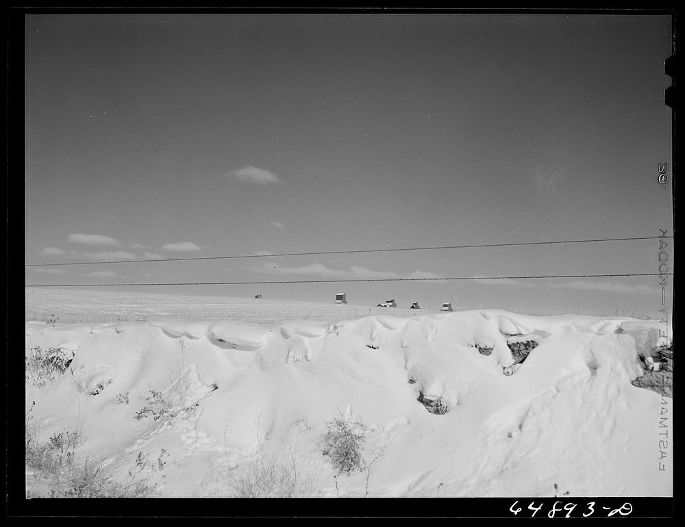 Reeder, North Dakota. Snow banks and tops of grain elevators. Sourced from the Library of Congress.