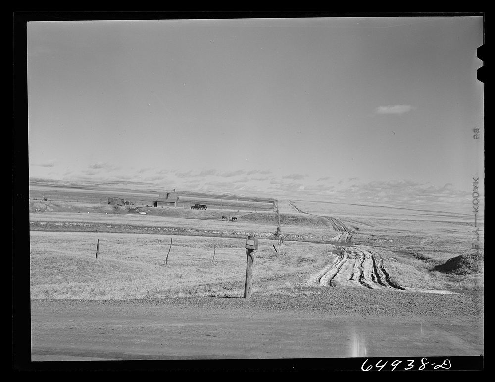 McCone County, Montana. Dry land area. Sourced from the Library of Congress.
