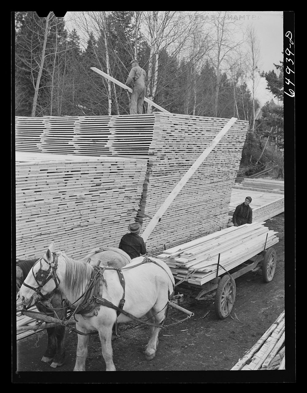 Flathead Valley special area project, Free Photo rawpixel