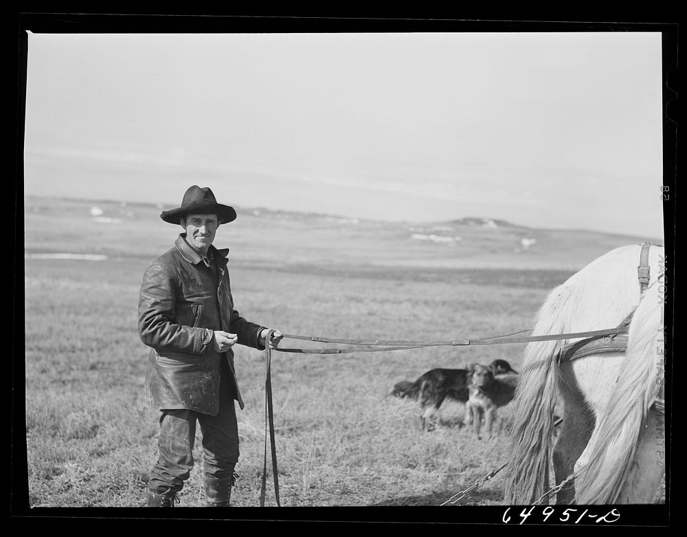 [Untitled photo, possibly related to: Garfield County, Montana. Sheepherder]. Sourced from the Library of Congress.