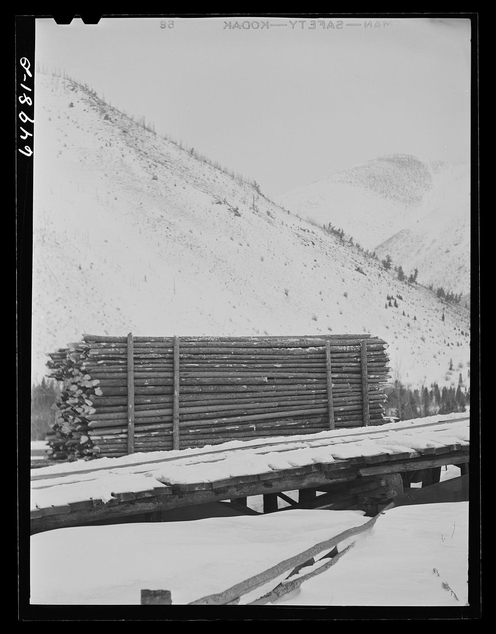 [Untitled photo, possibly related to: Granite County, Montana. Timber]. Sourced from the Library of Congress.