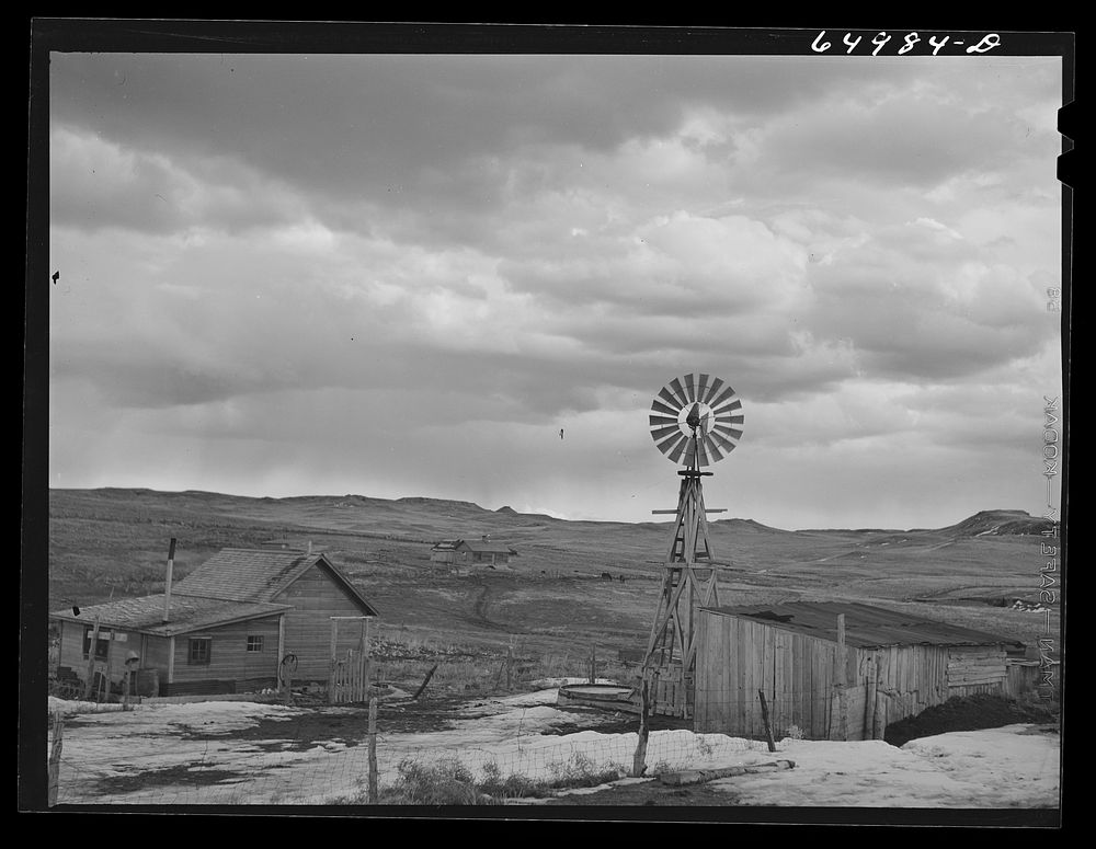 [Untitled photo, possibly related to: Garfield County, Montana. Sheep ranch of Charles McKenzie]. Sourced from the Library…