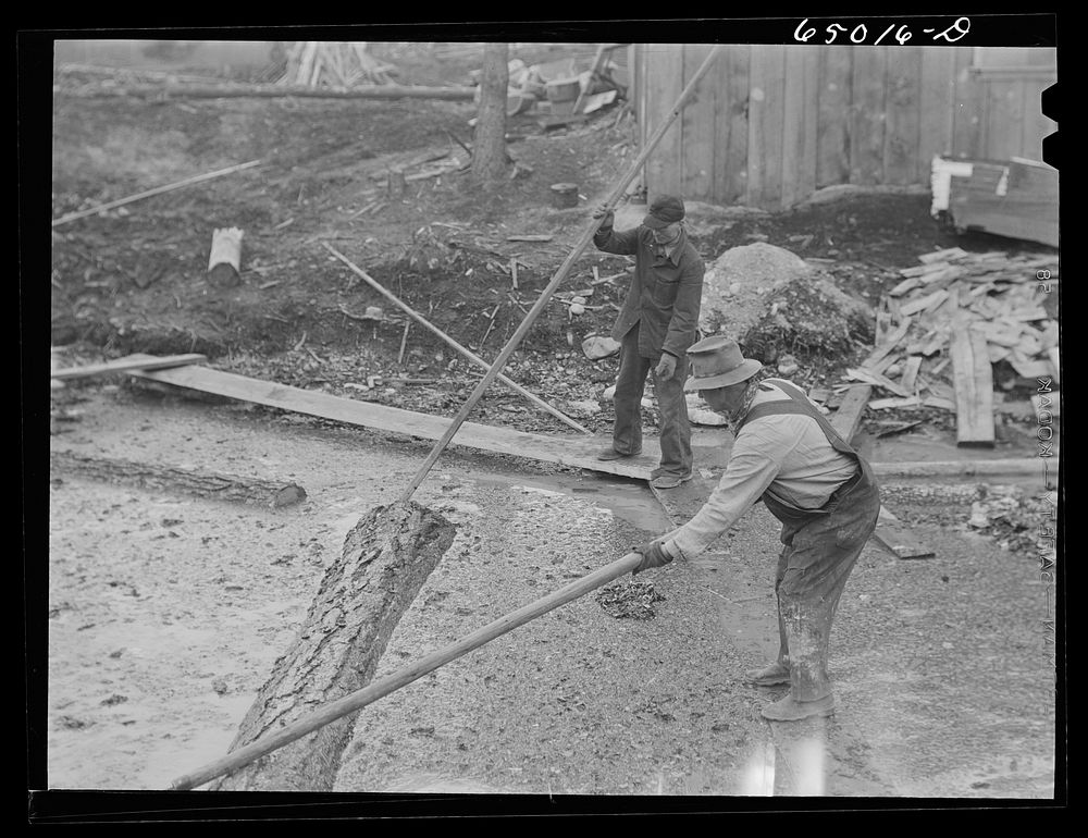 [Untitled photo, possibly related to: Kalispell, Montana. Rolling logs into the pond at FSA (Farm Security Administration)…