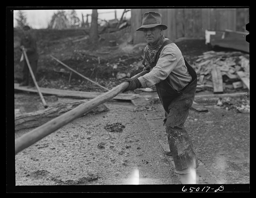 [Untitled photo, possibly related to: Kalispell, Montana. Rolling logs into the pond at FSA (Farm Security Administration)…