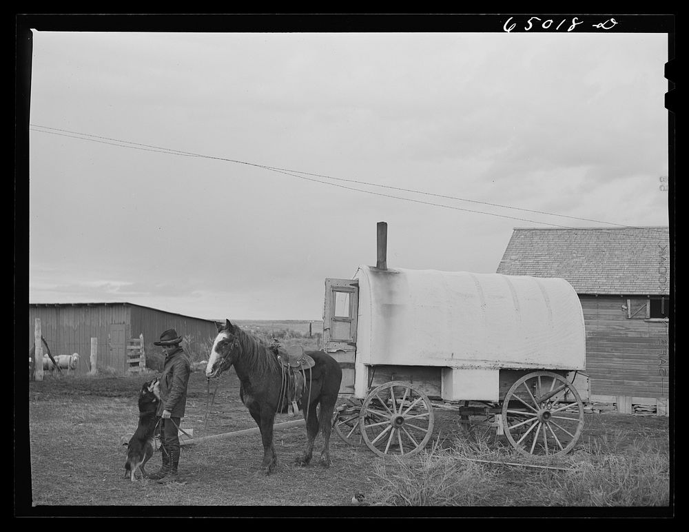 [Untitled photo, possibly related to: Garfield County, Montana. Sheepherder and his horse]. Sourced from the Library of…
