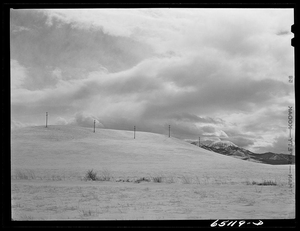 Park County, Montana. Telephone line. Sourced from the Library of Congress.